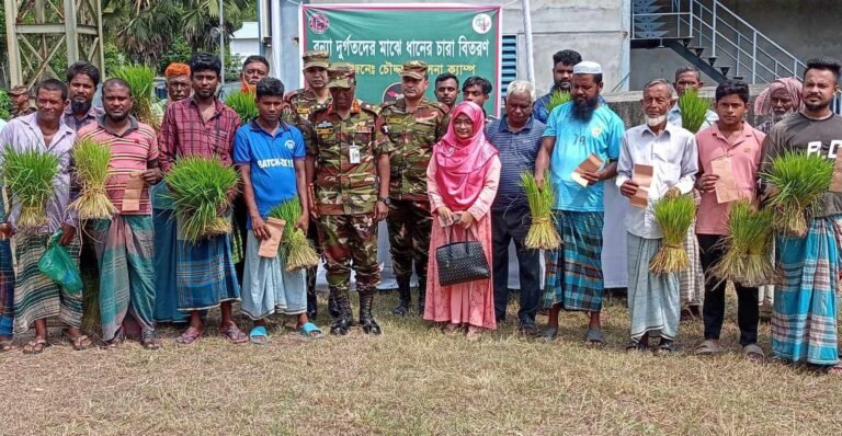 চৌদ্দগ্রামে সেনাবাহিনীর পক্ষ থেকে ধানের চারা, নগদ অর্থ ও ঢেউটিন বিতরণ